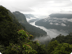 Fjords